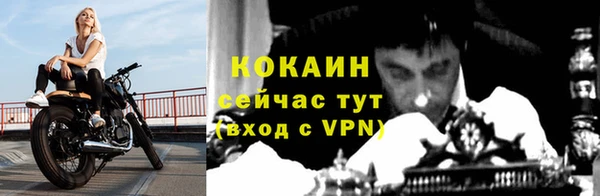 COCAINE Богородицк
