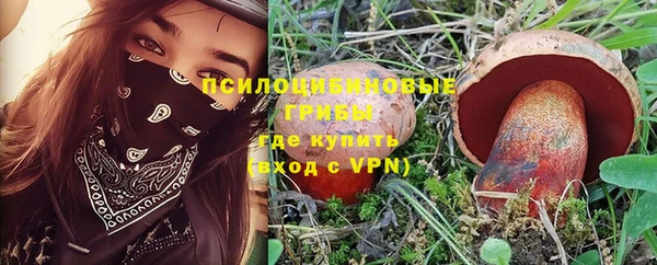 COCAINE Богородицк